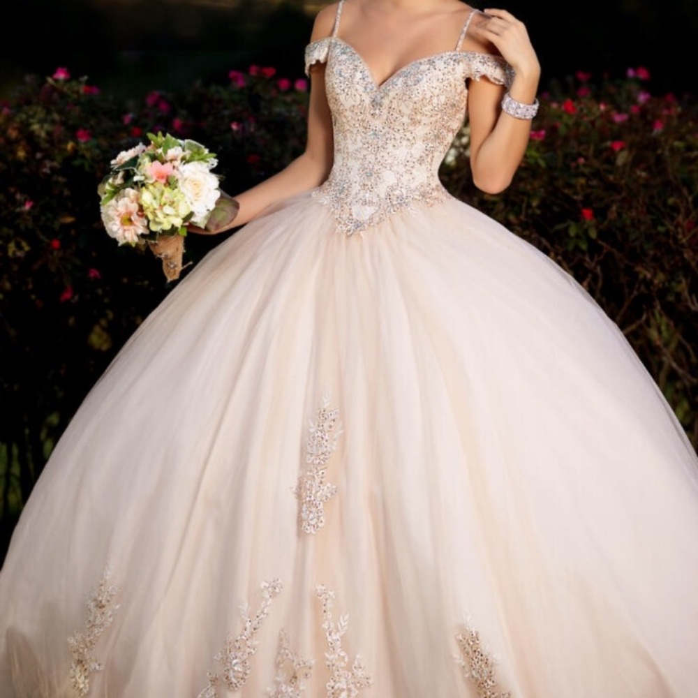 Ball gownCamilleQ #dress #prom#wedding #homecoming